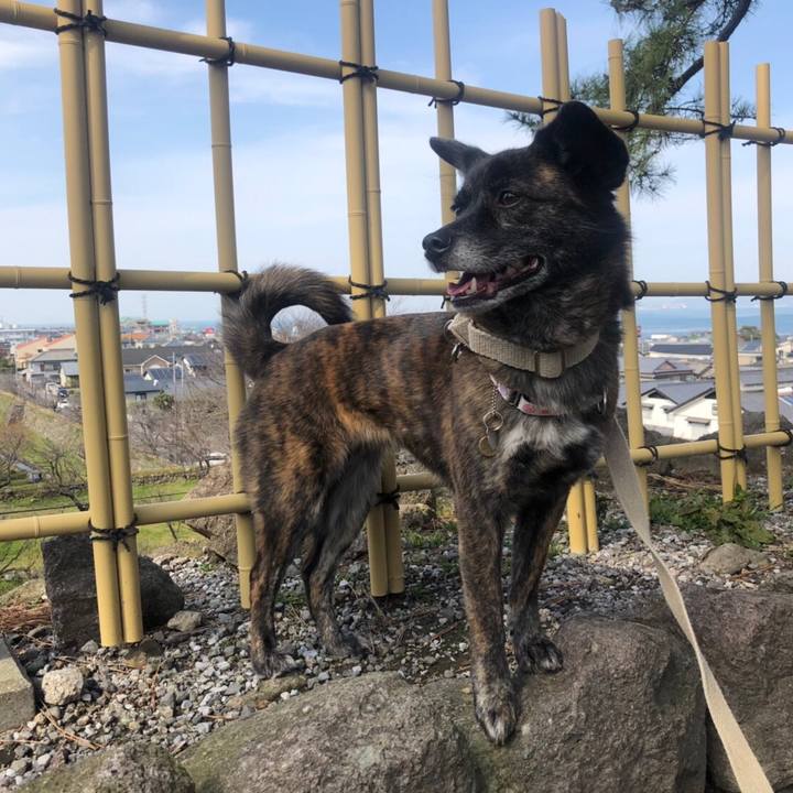 8d2f1914 f327 4cb6 8633 2dd1d6c1b6ac 1553133059210