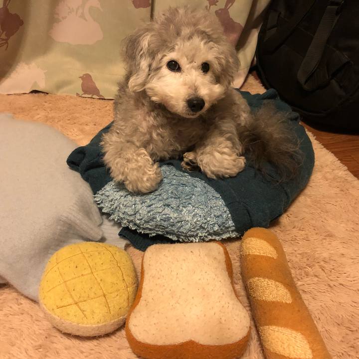 8d2f307c 85c4 4758 bc61 fd188bf644e1 1550703810599