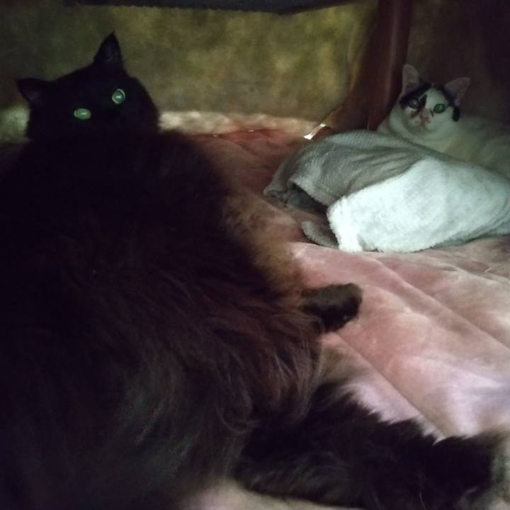 8d2f7e82 5693 41d4 8516 557a05c1c243 1672181405485