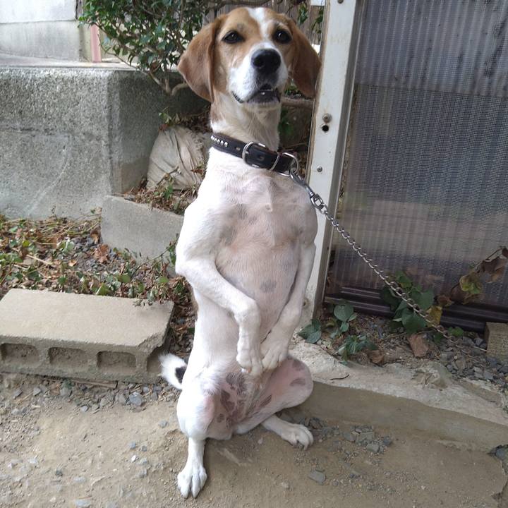 8d2f970b ecb0 43a7 a6d3 82f1b0df2b27 1660275441615