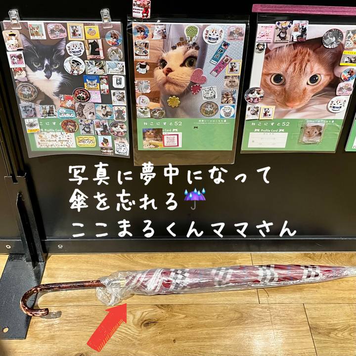 8d2fb4e5 c89d 48bb ac4c 01a5b81b7f4a 1663902616889