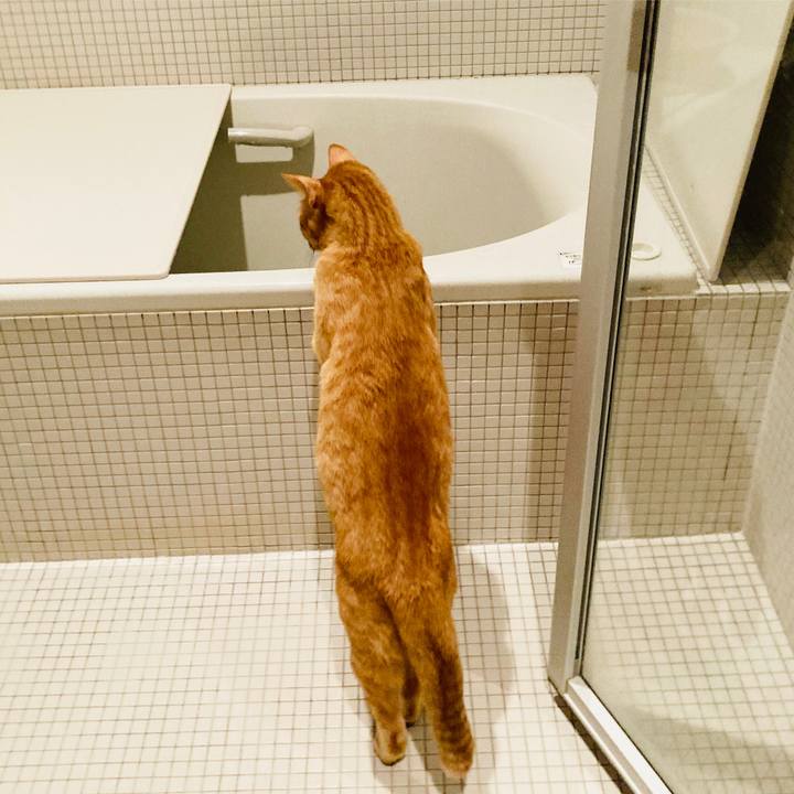 8d2fbdf4 f6f2 4a2a b844 ae0437d860dc 1613002414099