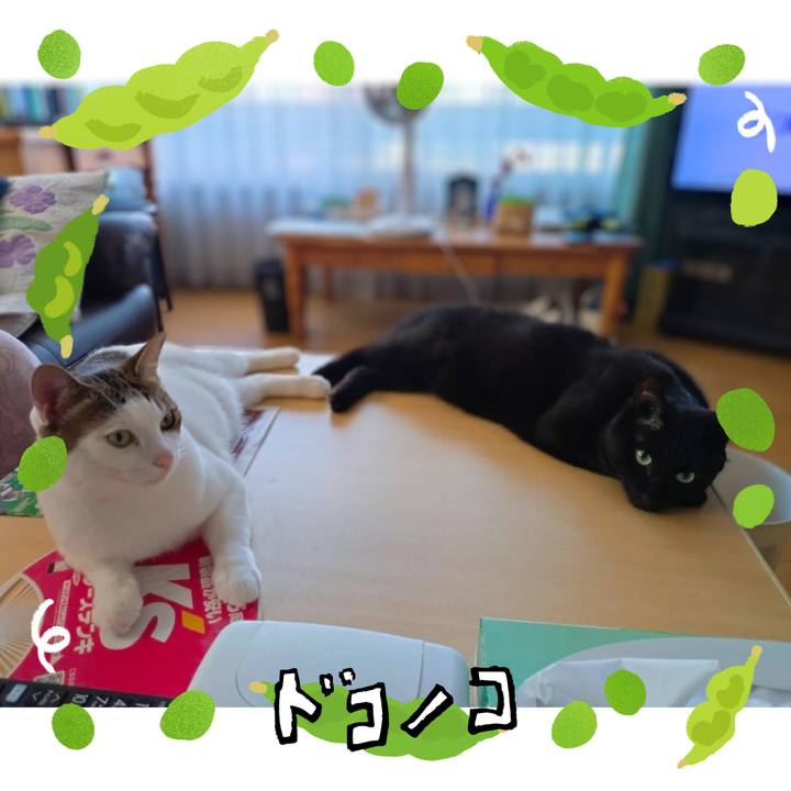 8d2fcb0c 8dbc 4b4a a8d1 b6f989ff69ad 1721274178287