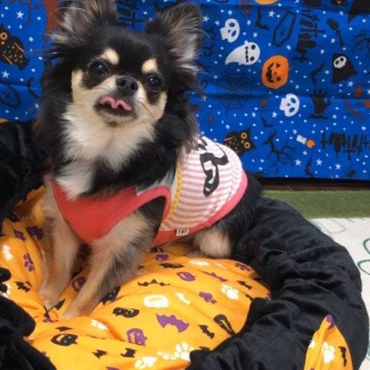 8d2fea13 8c8f 4a38 ab9a 593bc80c5721 1572402007734