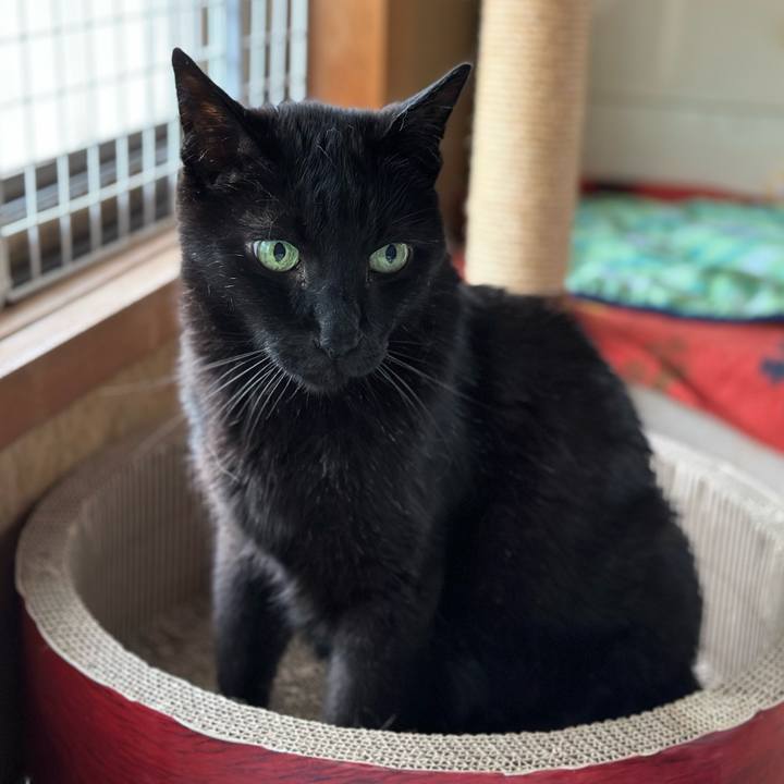 8d2fedc0 85ac 4357 b21b 4c89c08062d1 1687567187550