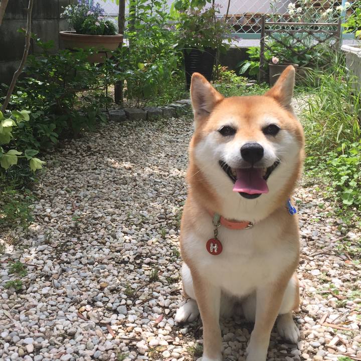 8d2ffc4b ccd5 4a3c a96b 934d03affbaf 1529562176847