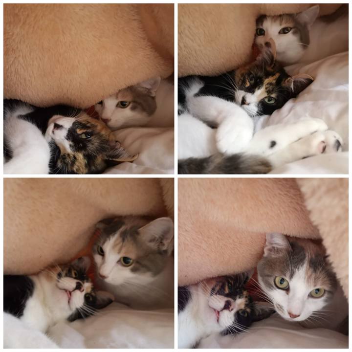 8d303e4b 3f25 4077 ac9e ba46d430a9f2 1606741590897