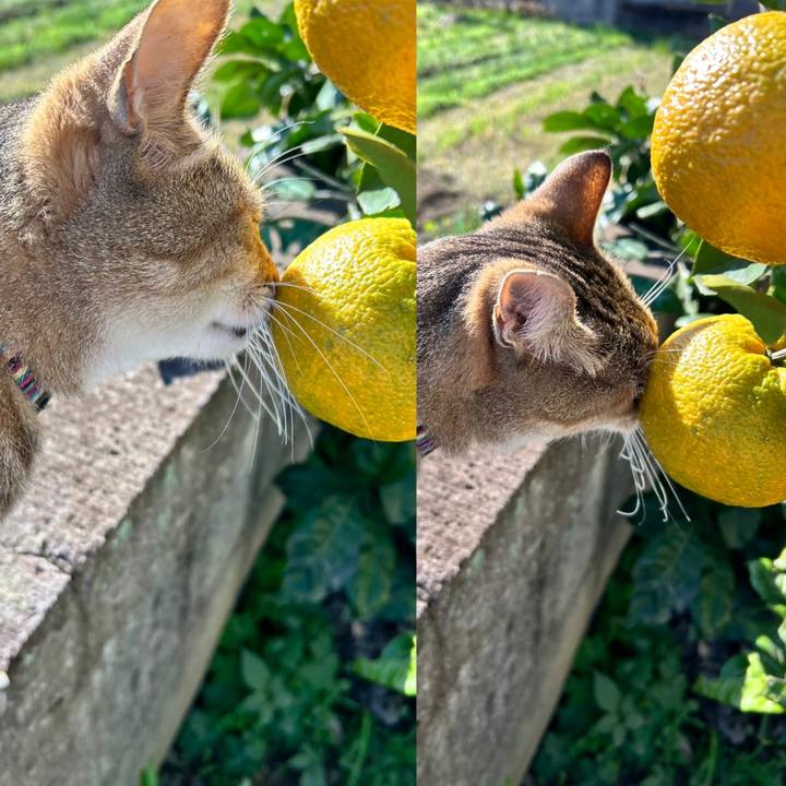 8d3043ed 60cd 460c b8f8 9056b7377e1f 1732331211777