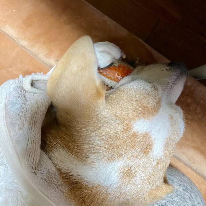 8d307fdf 8768 47b0 b976 e2d9c7eb04e8 1612087062007