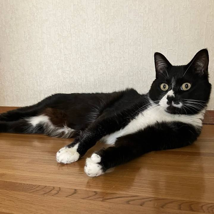 8d308060 9de1 4764 bcbf 76956f929e46 1719458491186