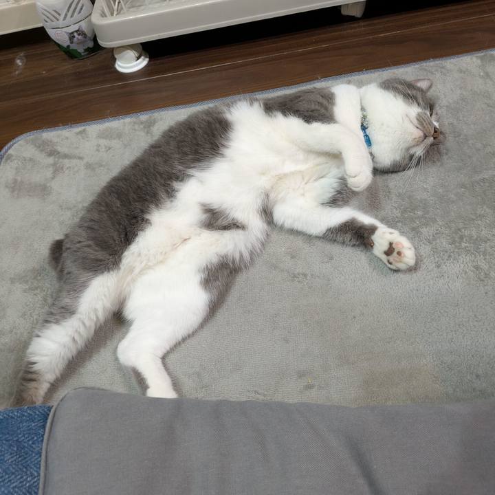 8d30937b 7e05 4bc3 b270 9f052c019dbb 1747822698332