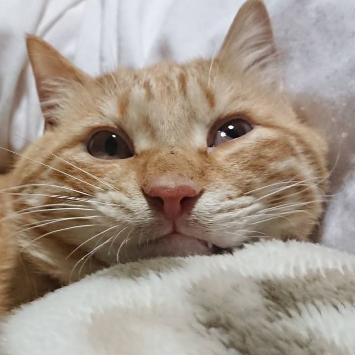 8d30af97 0d6e 4fe0 8355 9a4e347c919a 1643546130346