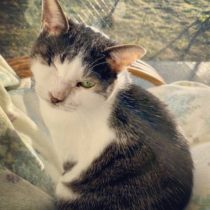 8d30b163 e0e3 457c a66a fdb5f0256f0a 1640561136712