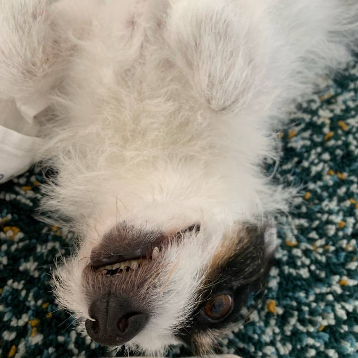 8d30c700 b3ca 43c4 b93e 08eae28fe44b 1719976603321