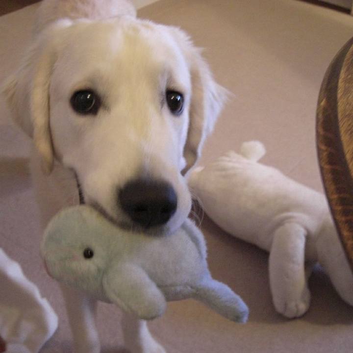 8d30e0c9 187d 42db be64 af070b3ee25e 1567089591907