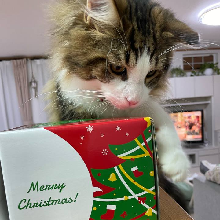 8d30f337 a2b4 411d bcd3 cac97338a413 1640429504221