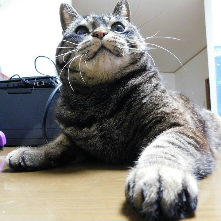 8d311f00 bbbb 4ad3 943b 02be665d3442 1555822988578