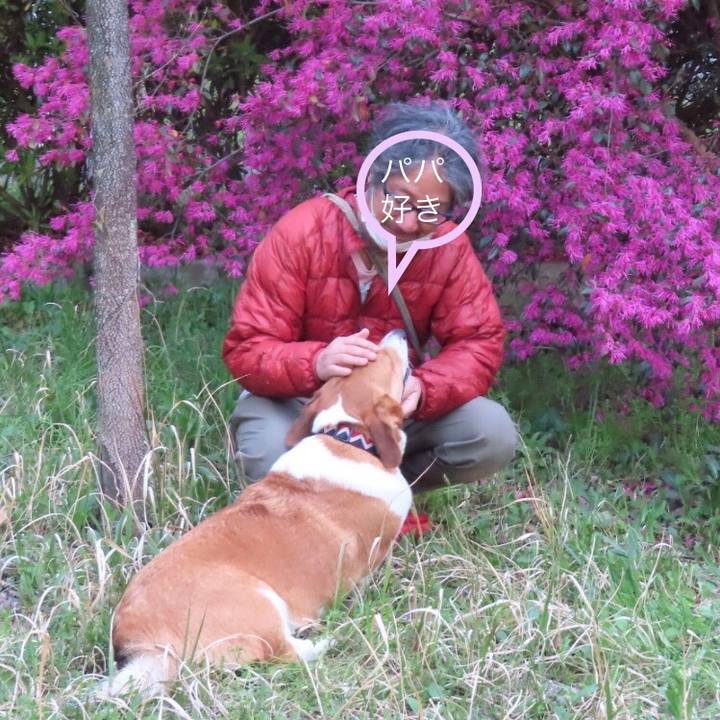 8d315681 9b2d 476e 8718 2789e68b4910 1650153757463