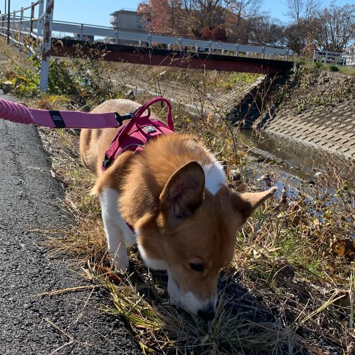 8d316f23 f3e1 4205 9425 fa794f062d13 1701835341664