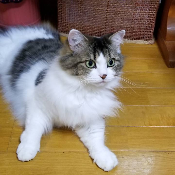 8d3199c5 2c18 4cd5 8124 aa06b48dc746 1573042884711