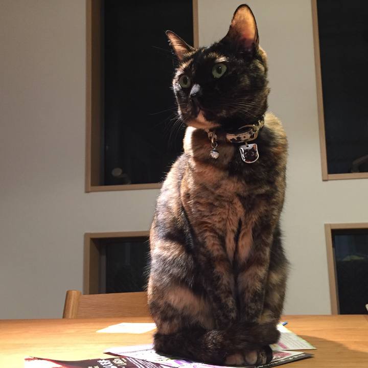 8d31a3ba 5fef 4d38 94d0 e6bf392fa7c2 1522474420373