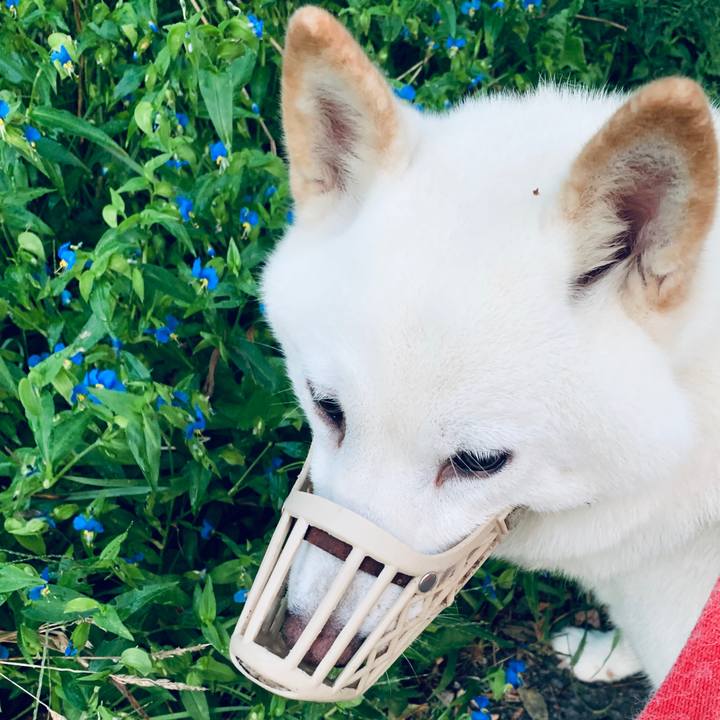 8d31b731 4544 4517 b581 dc6979147fc2 1599599290481