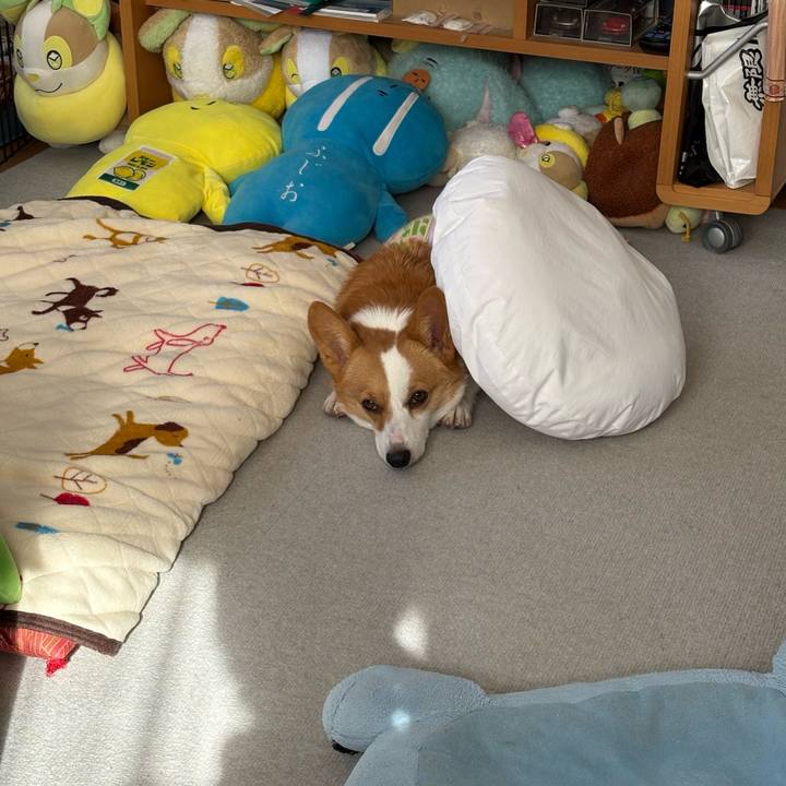 8d31bac9 82c6 43f2 aa2c 419fe5df4e35 1769742013849