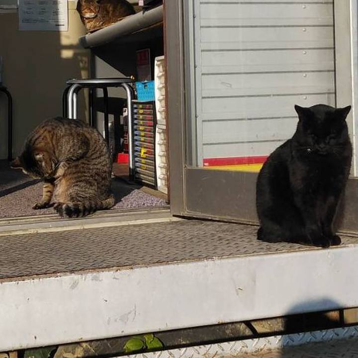 8d31cabc 8c86 4b23 af4f f1bad716da89 1607644598451