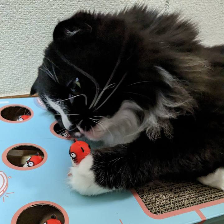 8d3216d1 64bc 49a2 b39f 9805c4e67a46 1680268342861