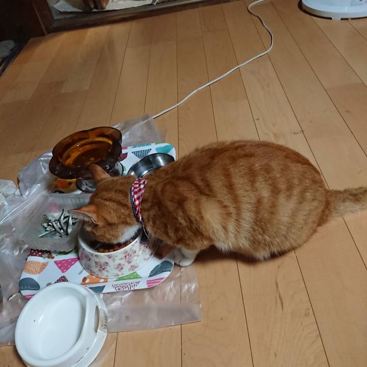 8d321db1 1079 405e bc88 8c0a546b7c90 1597579041524