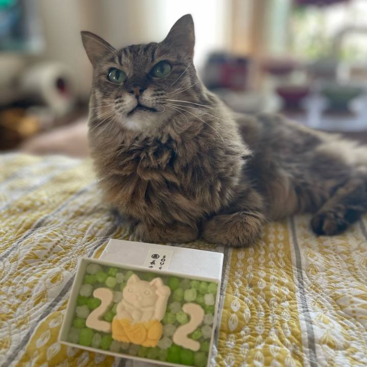 8d323ab2 acd0 4619 bd56 051814e132a7 1758500709166