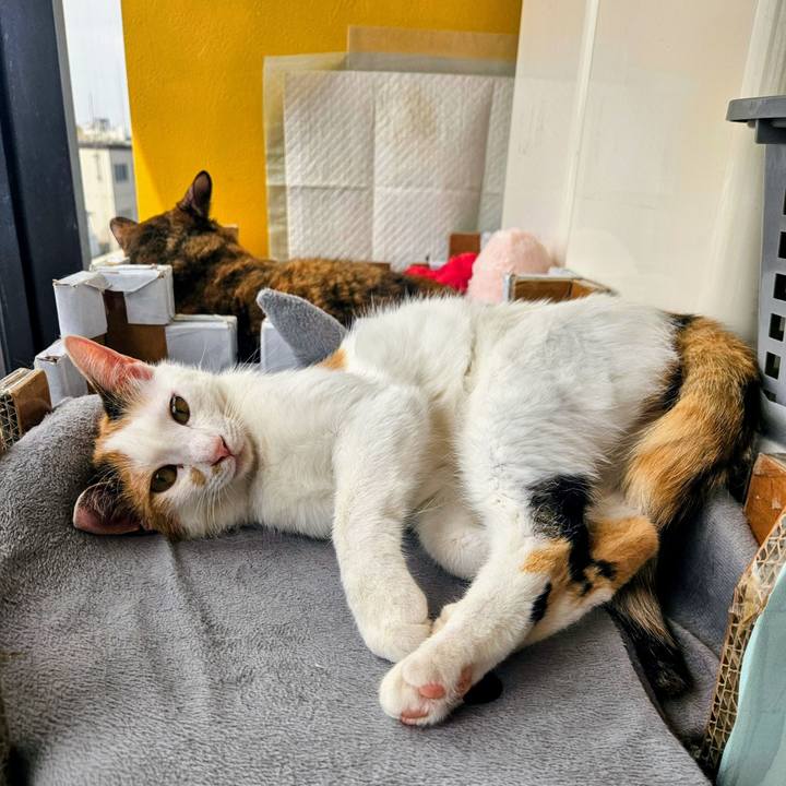 8d323d26 9058 4c7d 8931 74b504b78885 1749446166090