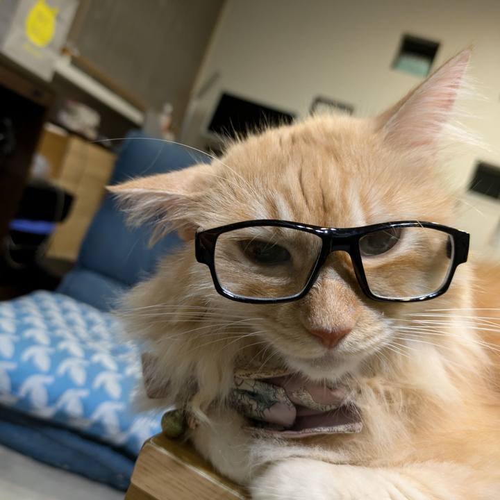 8d324cb2 61e8 492b b2a1 1545a64705c6 1725370070363