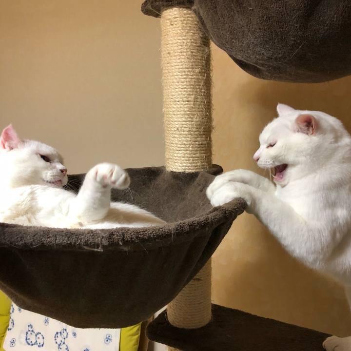 8d324e8f 4070 4550 bb22 bef375115c8e 1561551265263