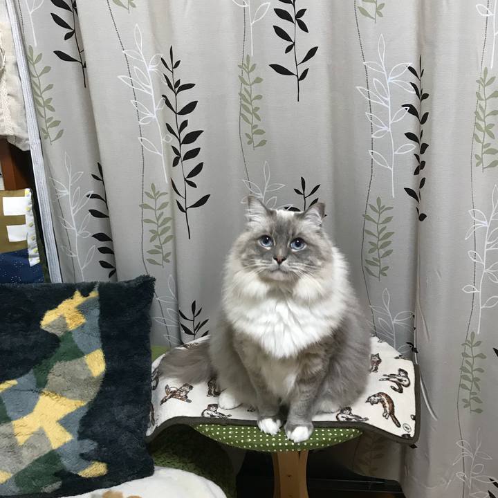 8d325756 36f8 40de a3c1 143709e8cd02 1513501107093