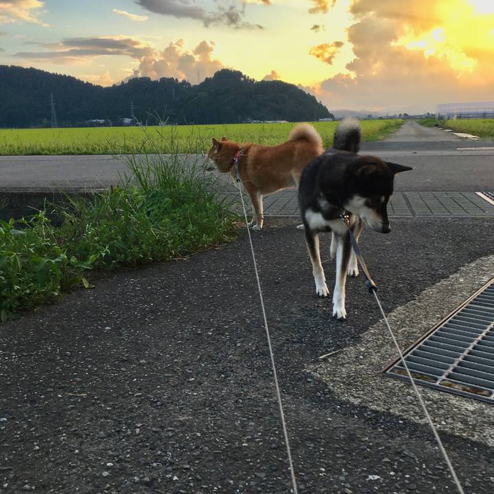 8d328fbb e5ae 4f9a 9606 3d418ff3e508 1566735930456