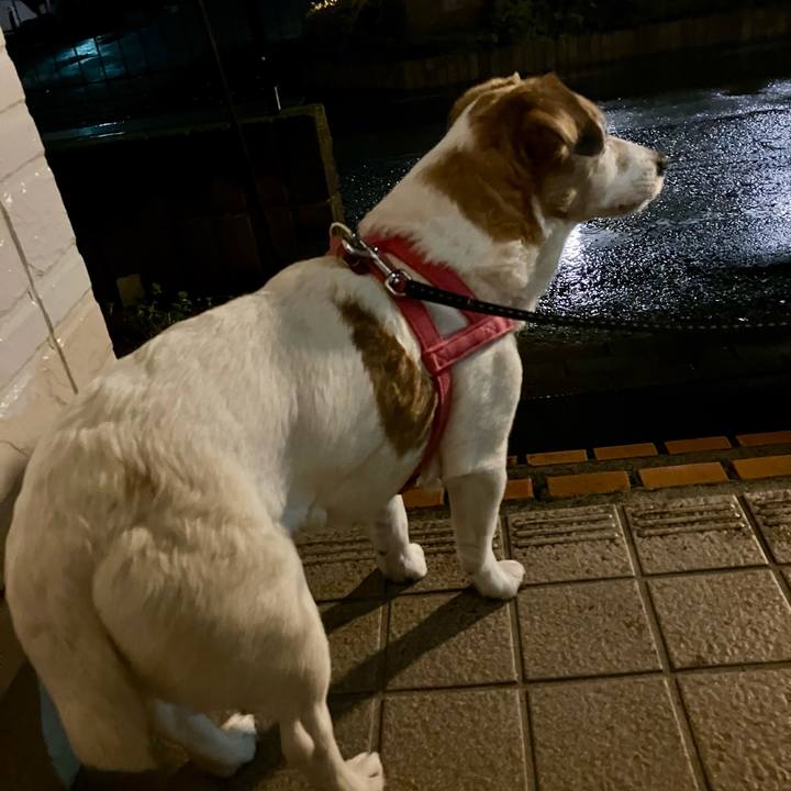 8d32a538 a28b 4be2 a51f 94680ac724d7 1711635241706