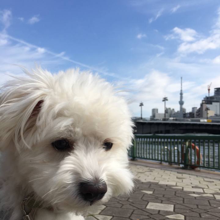 8d32b6e2 de81 4078 b2ca cd70c086b360 1568938571522