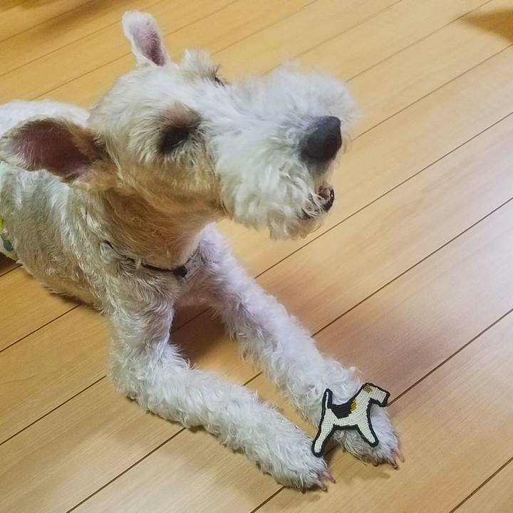 8d32b9be efb5 4399 b16f edcb7328feb1 1535290383701