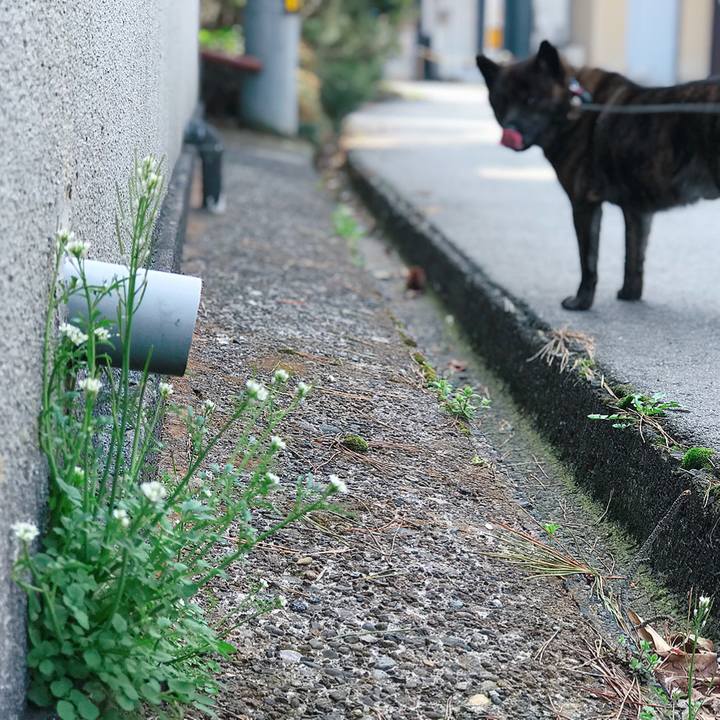 8d32bed3 54a4 4d14 bb04 98d946526ac1 1522643584559