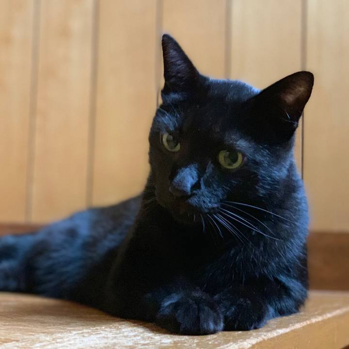 8d32caf7 0093 4b1a ba86 73e4a3de1481 1538790418288