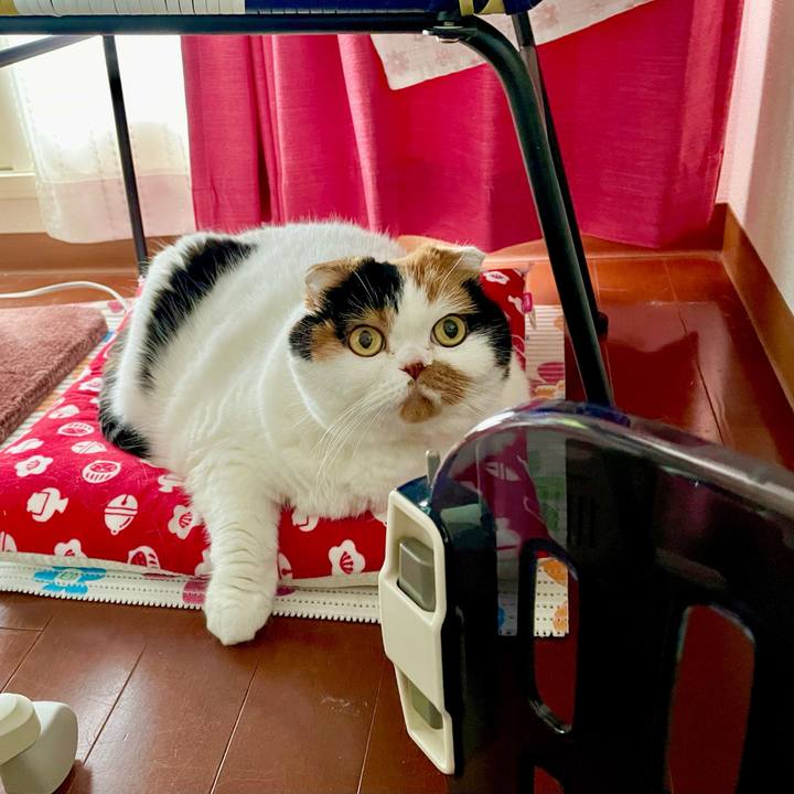 8d32da08 562b 4255 8227 2992797d7d61 1636940054155