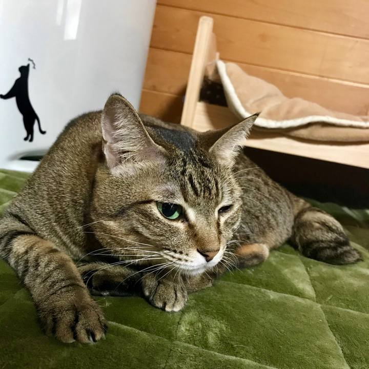 8d32f7ca 007f 43ef bfc8 46fe7779368e 1511914058041