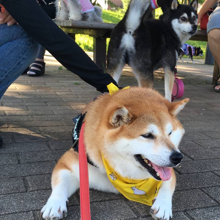 8d335c95 92c3 4d43 84b3 986c3499799a 1626735801113