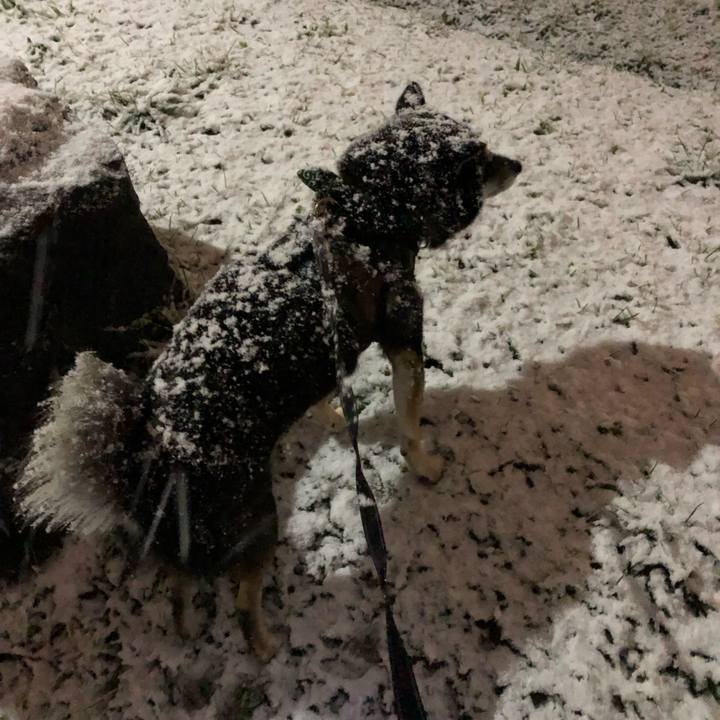 8d336270 f8ed 422f b6ce 768825aa96db 1542878662668