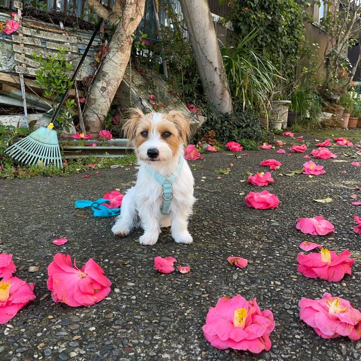 8d336803 d567 438b b5c6 812d7ba06808 1774669089943