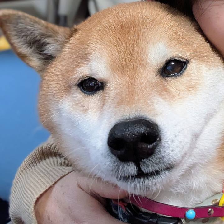 8d33aaf4 39a5 4bb5 909b c936e73b8dbd 1738488384697