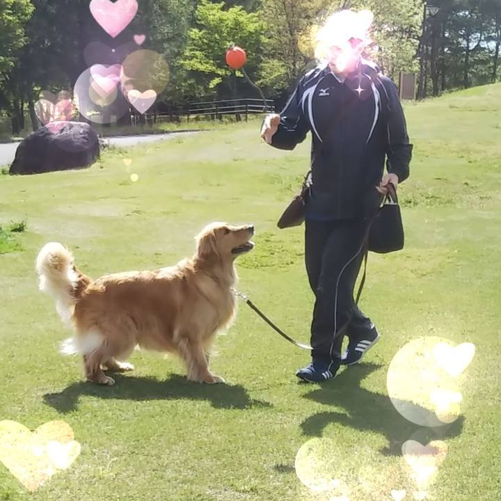 8d33d1cb fc64 4478 8189 f36c6049b11a 1524843204026