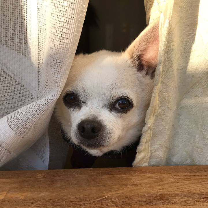 8d33e97d f926 46a5 8434 965225bab774 1572613912637