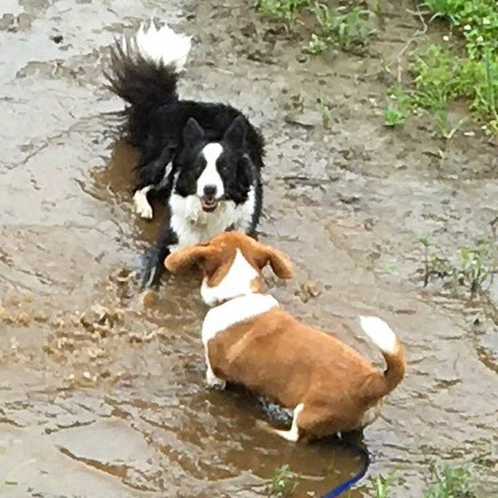 8d3429b1 45bc 44ab b66d ac831bf0c9a2 1595900161247